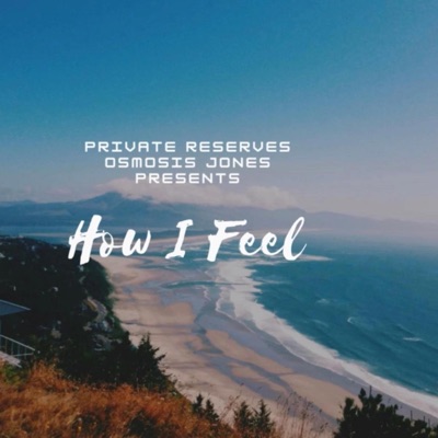 How I Feel - Single