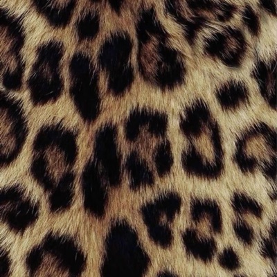 leopard - Single