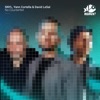 SNYL/YANN CORTELLA/DAVID LESAL - No Counterfeit