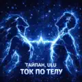 Ток по телу