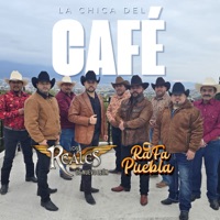 La Chica del Café - Single - Los Reales De Nuevo Leon & Rafa Puebla