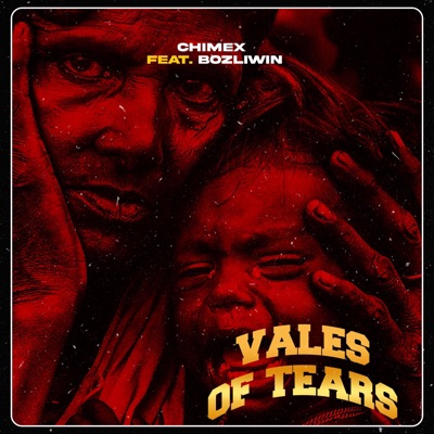 VOT (VALES OF TEARS) (feat. Bozliwin) - Single