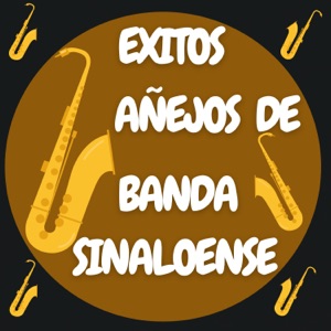 Popurrí/ Cariño Santo/ Anillo Grabado/ Ojitos Negros/ Quiero Que Sepas/ Antes De Partir/ El Sauce Y La Palma