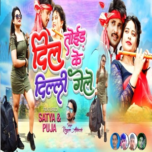 Dil Toid Ke Delhi Gele