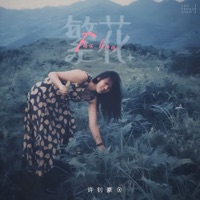 繁花 - Single - 许钊豪