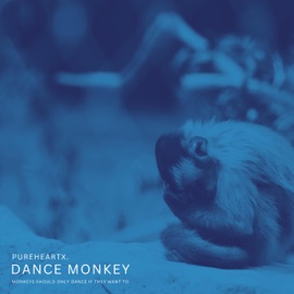 dance monkey (ambient version) pureheartx.