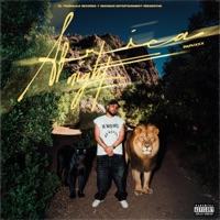 Africa Night - Single - El Triangulo R & PAPUXXX