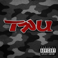 TRU - Single - Wreck Wregular