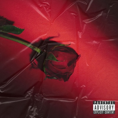 Coração Bandido (feat. Dinas Beach) - Single