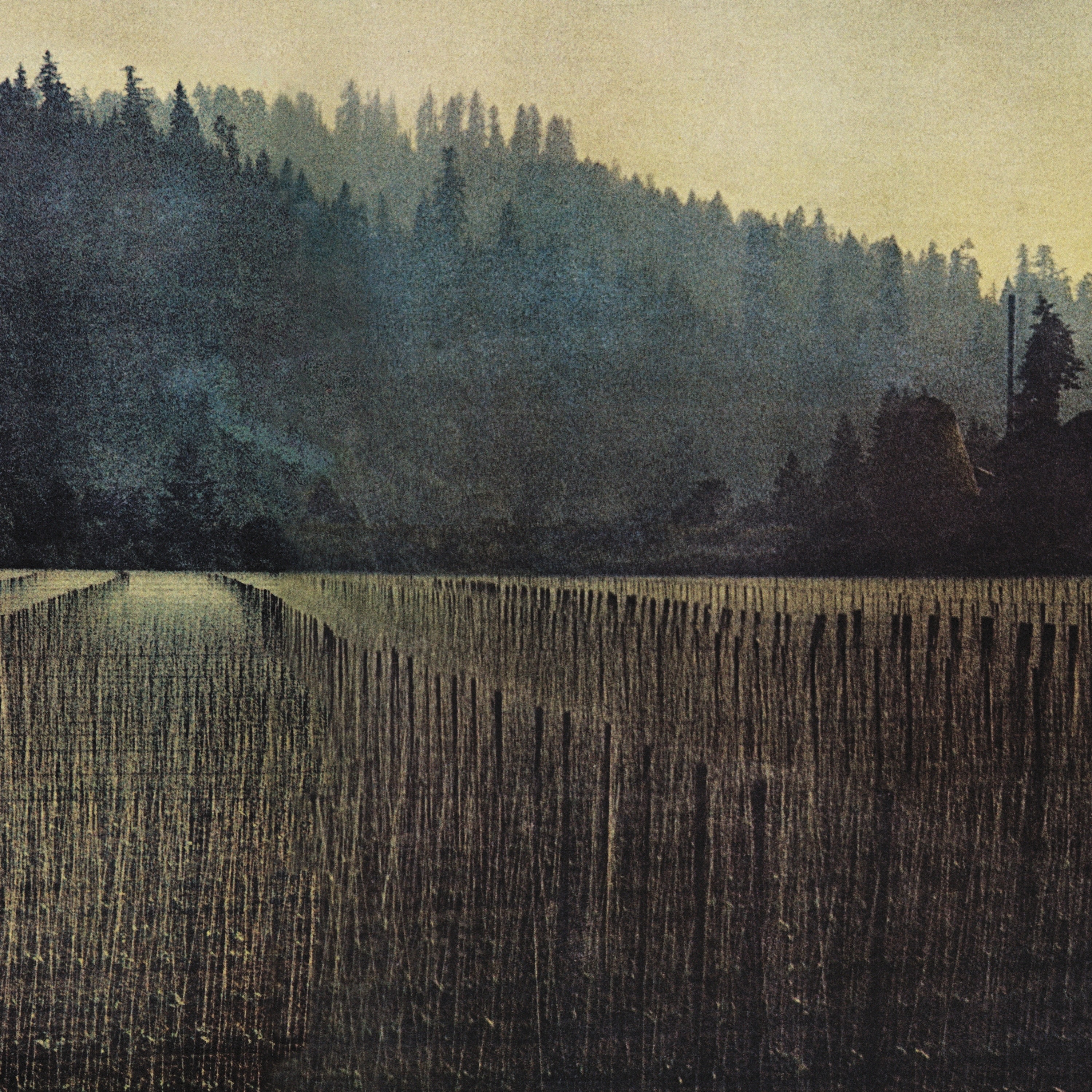 Beach Fossils - Inside Out (2025)