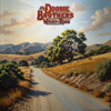 The Doobie Brothers - Walk This Road  artwork