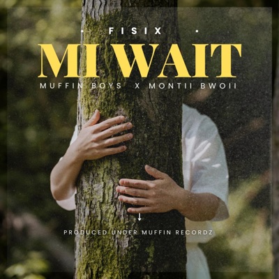 Mi Wait (feat. Muffin Boys & Montii Bwoii) - Single