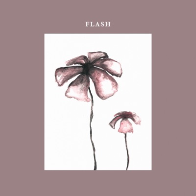 Flash - Single