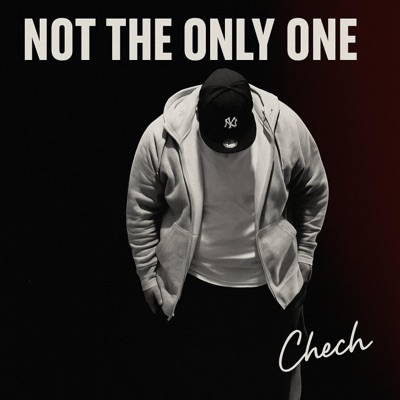 Not The Only One - Single