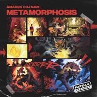METAMORPHOSIS - EP - Amarok, DJ Navi & Fly Fella Records