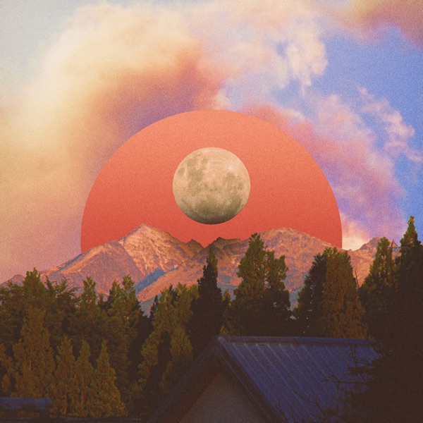 Disconnected - Single