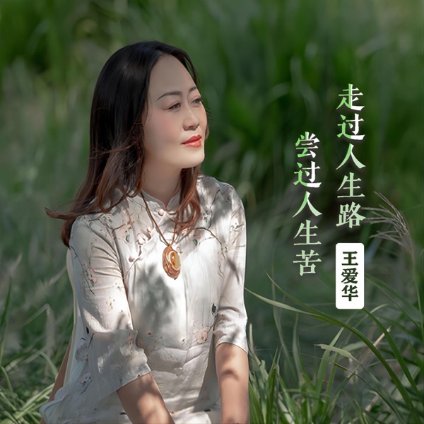 走过人生路尝过人生苦 - Single
