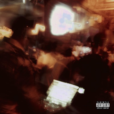 Niggas In The Party - Single