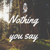 nothing you say - Single - C!ty