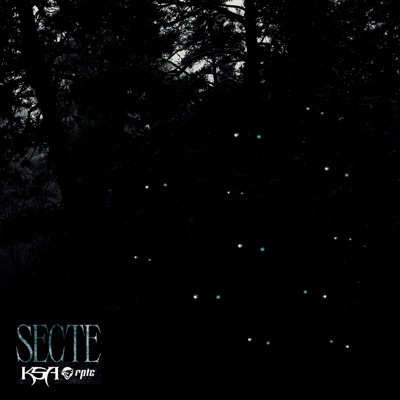 Secte - Single