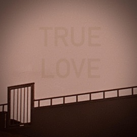 True Love (feat. BUMPDOWNBK3) 409 Jugg