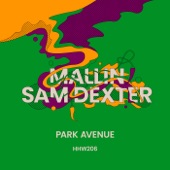 Park Avenue (Extended Mix) artwork