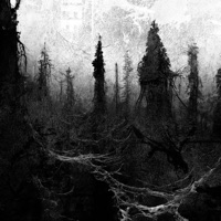 minerals (feat. Cloverrr Thraxxx) - Single - Clouty!