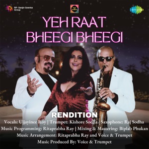 Yeh Raat Bheegi Bheegi (Rendition)