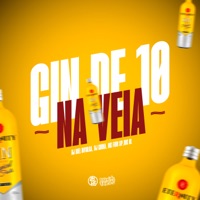 Gin de 10 na Veia (feat. Mc BL) - Single - DJ Biel Divulga, DJ Guina & Mc Furi Sp