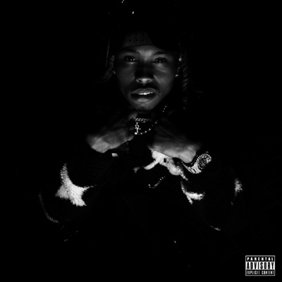 The History Of Virgo: Volume III