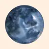 Priscilla Ahn - Bizarre Love Triangle