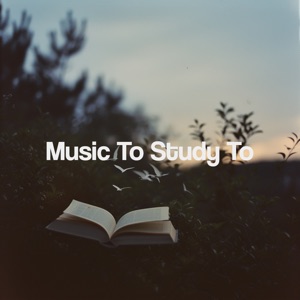 Music to Study To