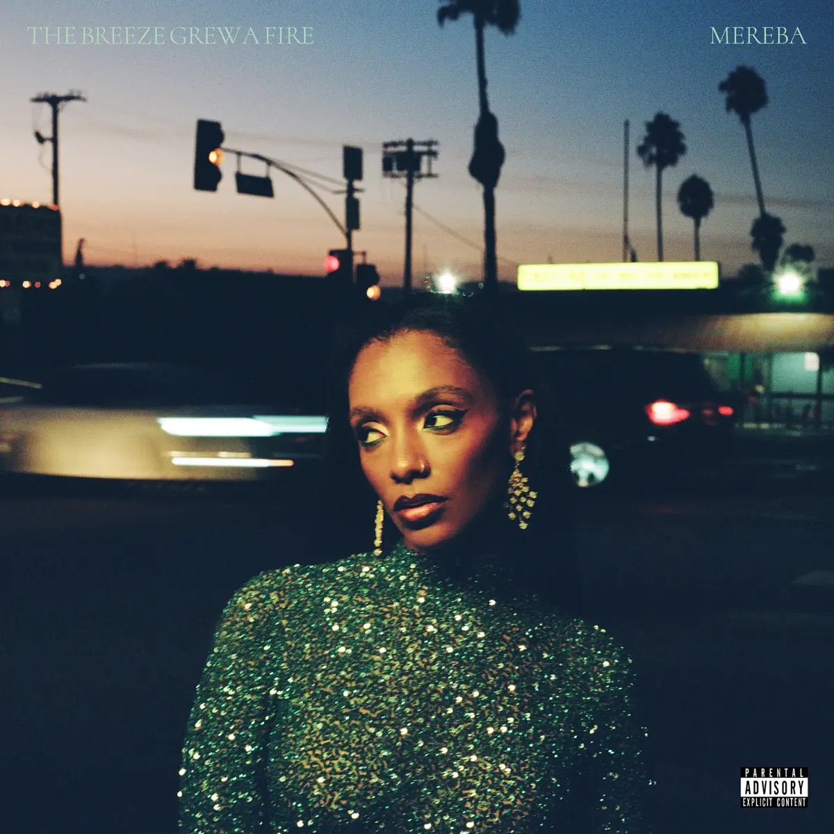 Mereba - The Breeze Grew a Fire (2025) [iTunes Plus AAC M4A]-新房子