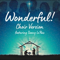 Wonderful! (feat. Seany Le'Rue) [Choir Version] - Single - Cristaña