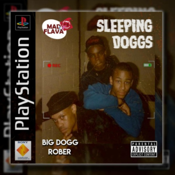 Sleeping DogZzz (feat. Rober Il Direttore)