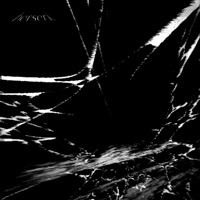 berserk (feat. l0xd8) - Single - SKIWELLZ