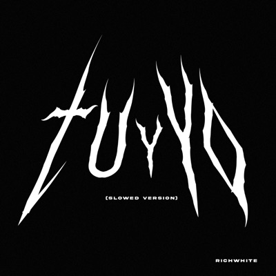 TU Y YO (SLOWED VERSION) - Single