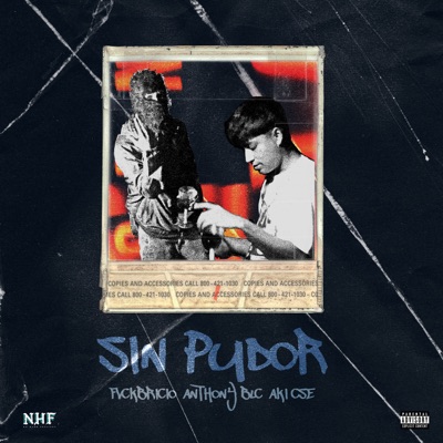 Sin Pudor - Single