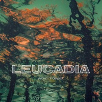 Won't Forget - Single - Leucadia