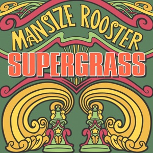 Mansize Rooster - Single