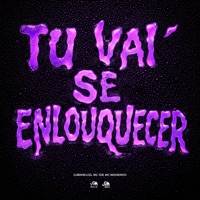 Tu Vai Se Enlouquecer - Single - djmanelog, Mc Gw, Mc Magrinho & SM Record