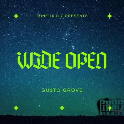 Wide open - Single