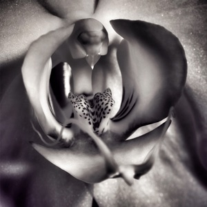 The Art of Surrender, Soft Tantra