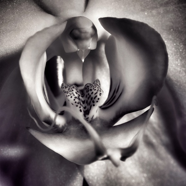 The Art of Surrender, Soft Tantra