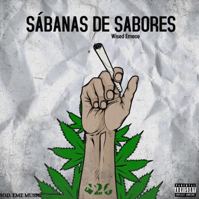Sabanas De Sabores - Single