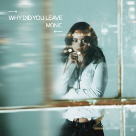 Why Did You Leave (Extended Mix) Monic