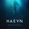 HAEVN - City Lights artwork