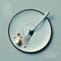 Niedosyt (feat. Wuja HZG, Ryfa Ri, Mada, DJ Beezee & Erking) - Fasola & Temzki