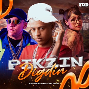 Pikzin Digdin