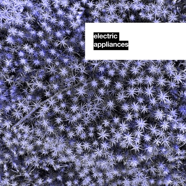 Speedport - Single